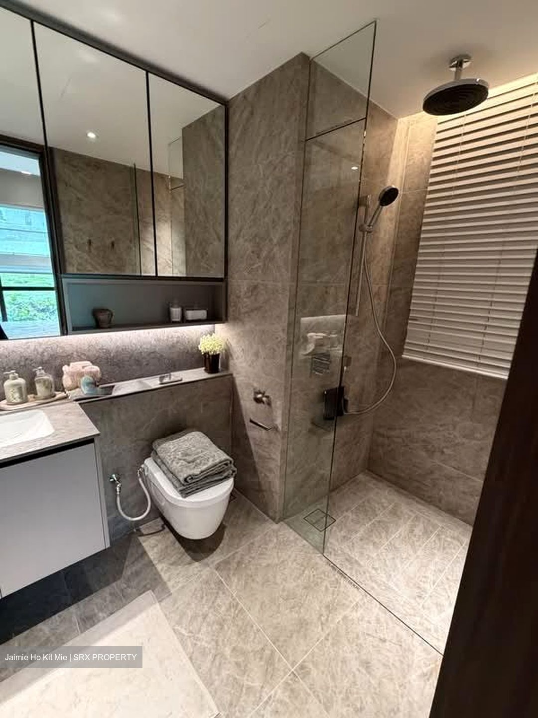 Dunearn Road (D11), Condominium #590785661